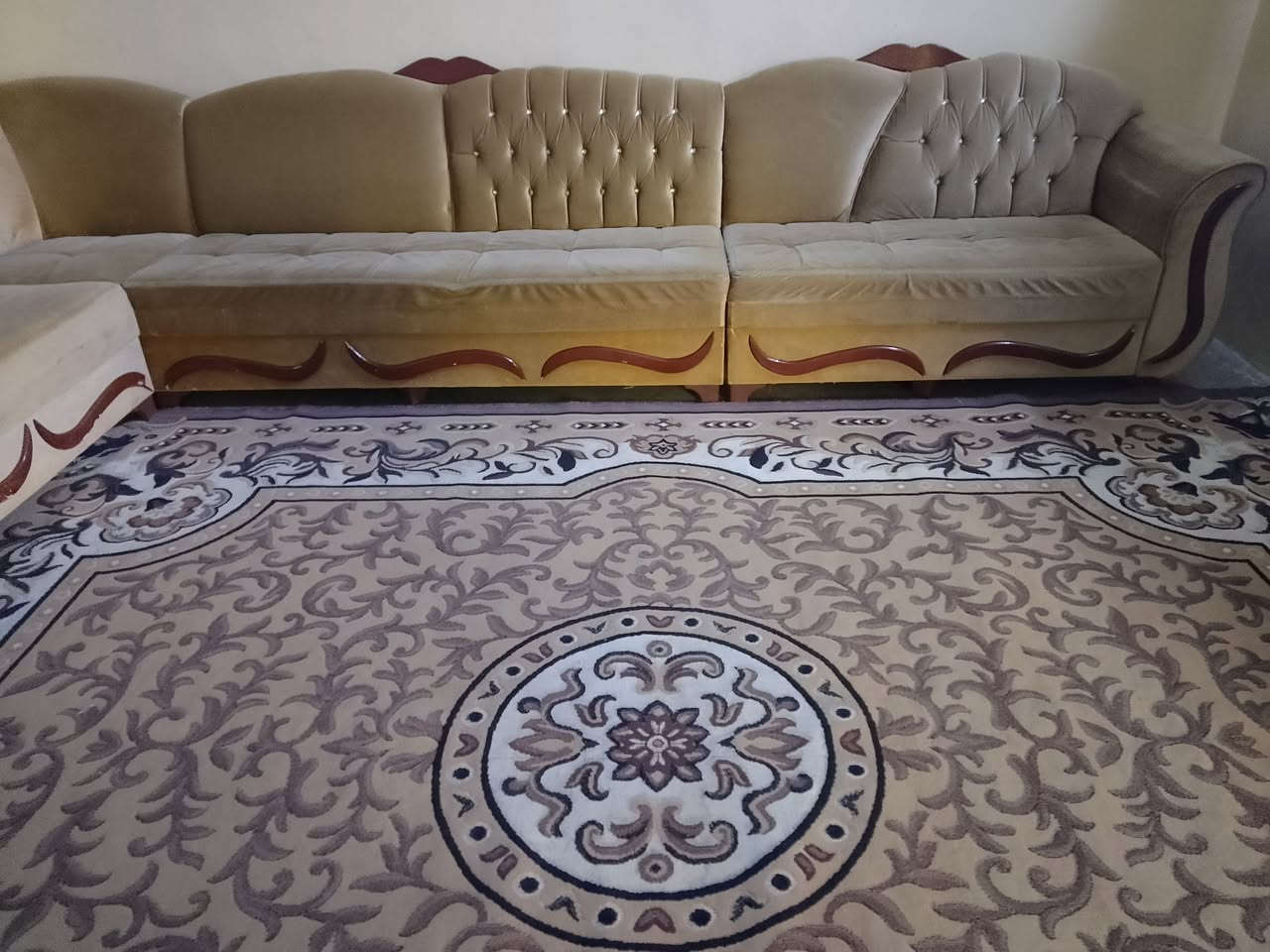 طخم للبيع بسعر مناسب


**إذا كنت صاحب هذا الإعلان وتريد حذفه لأي سبب، رجاءا أرسل رسالة إلى الدعم الفني**