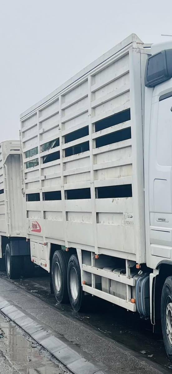 للبيع بودي مال اكتروز جديد طول 8متر بلادي 

بريص 480 كهربائيات كله جديد صبغ جديد. 

***********📞
