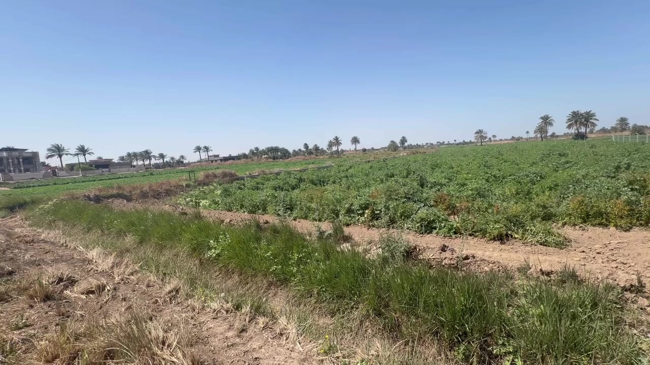 ⛔️عرض حصري من مكتب الحياني 

⛔️متاحً دونم طابو ٢٥ 

⛔️جبها ٣٦

⛔️ابي غريب حميد شعبان الوصطاني 

⛔️قريب جدآ من جامع حميد شعبان 

⭕️يتوفر جميع العروض الزراعي ⛔️طابو صرف⛔️طابو ٢٥
⛔️عقد ١٧

ابو ثائر الحياني:
***********
***********
