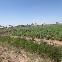 ⛔️عرض حصري من مكتب الحياني   ⛔️متاحً دونم طابو ٢٥   ⛔️جبها ٣٦  ⛔️ابي غ...