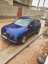 توسان • ٢٠٢٣ • وارد أمريكي