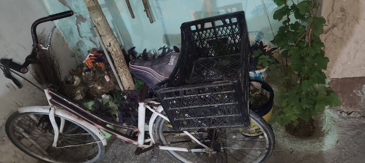 باسكيل حجم٢٦ شغال للبيع سعره ٣٥


**إذا كنت صاحب هذا الإعلان وتريد حذفه لأي سبب، رجاءا أرسل رسالة إلى الدعم الفني**