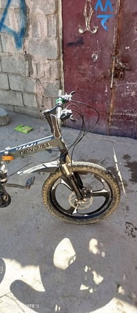 باسكل • كربلاء