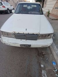 بوتيشيا • ١٩٩٥ • ديالى