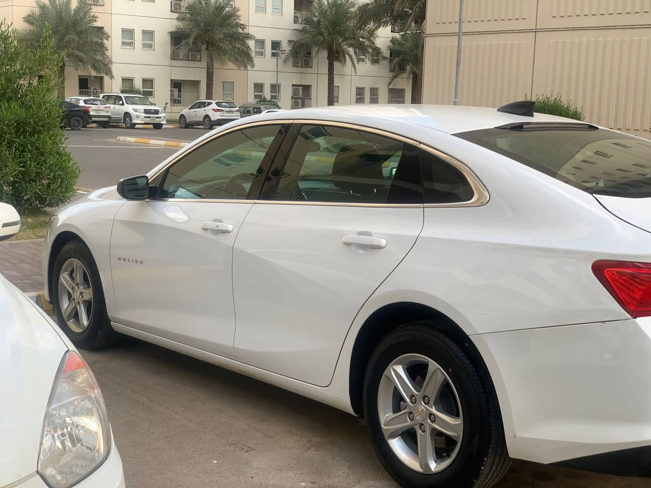 ماليبو ٢٠٢٤ LS
ماشيه 21 ميل

حادثه صندوك تعديل ومصبوغ فقط البقية كفاله عامة

▪️مكينة 1500 تيربو 💪

▪️بصمة ابواب ، جنطة ، تشغيل 

▪️سايد بريك بصمة (هند بريك)

▪️شاشة لمس كبيرة 

▪️نضام start stop /auto stop

▪️ليد نهاري ✨

▪️نضام كار بلي 

▪️كاميرا  خلفية 

▪️ويل كب 17 بلاد

▪️كرسي كهرباء

▪️السياره كفالة بعدهه ع مشي امريكا دخول جديد وع وضع الدخول ما ماشية 

▪️صوره الحادث بالصور 

▪️السعر ١٤٥$ الرقم فحص 

▪️مكان السياره بسماية 

الاستفسار ***********
