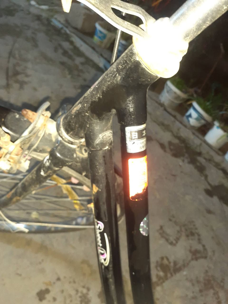 عبد الحليم كبس متروك ما بي شي فقط اصطاب ونفخ تايات فقط نضيفه اللشه السعر 55 وبي مجال حك جيتك مكاني حي الانتصار


**إذا كنت صاحب هذا الإعلان وتريد حذفه لأي سبب، رجاءا أرسل رسالة إلى الدعم الفني**