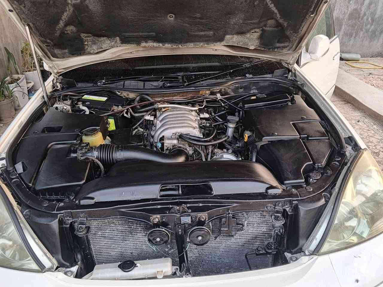 السلام عليكم الكزز مديل 2002 سياره فول وجاهزه من كلشي جاهز سعر 100 وذا مراوس هم عادي مكان سياره الحله سياره تدفه تبريد كله شغال  وكاله فقط استفسار خاص مكينه 8 🛫


**إذا كنت صاحب هذا الإعلان وتريد حذفه لأي سبب، رجاءا أرسل رسالة إلى الدعم الفني**