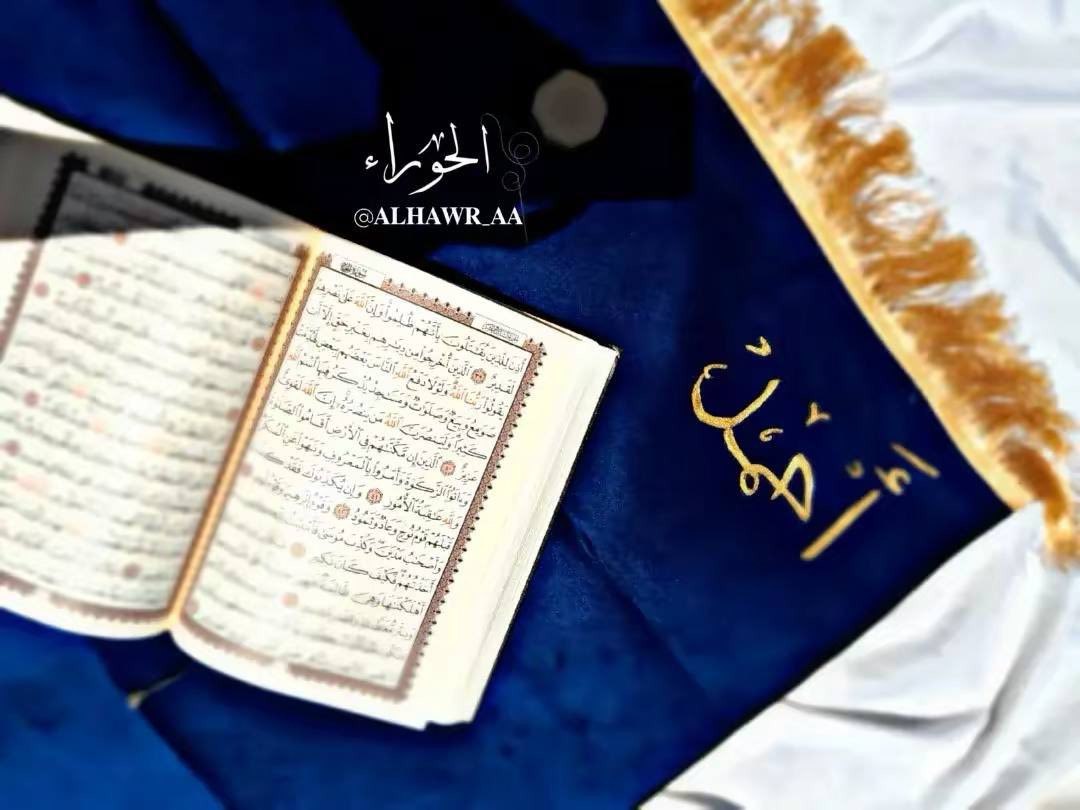 سجادة صلاة حفر حسب الطلب
حفر الاسم فقط 10
حفر إسم واية قرانية 12
المصحف قياس 21 سم مع الحفر 10
متوفر توصيل لجميع المحافظات


**إذا كنت صاحب هذا الإعلان وتريد حذفه لأي سبب، رجاءا أرسل رسالة إلى الدعم الفني**