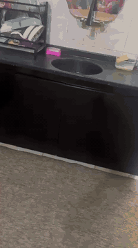 السلام عليكم
كاونتر حطاطه نظيف جدا البيع لسبب الانتقال اج دي كله السنك متر ونص 
والكاونتر والملحق مترين 
مكانه الشعب قرب الاسواق المركزيه سعره 300وبي مجال للشراي


**إذا كنت صاحب هذا الإعلان وتريد حذفه لأي سبب، رجاءا أرسل رسالة إلى الدعم الفني**