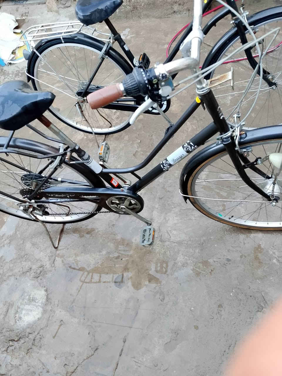 باسكلات اثنين للبيع شراي يتصل وبي خير ويدلل رقم ***********
