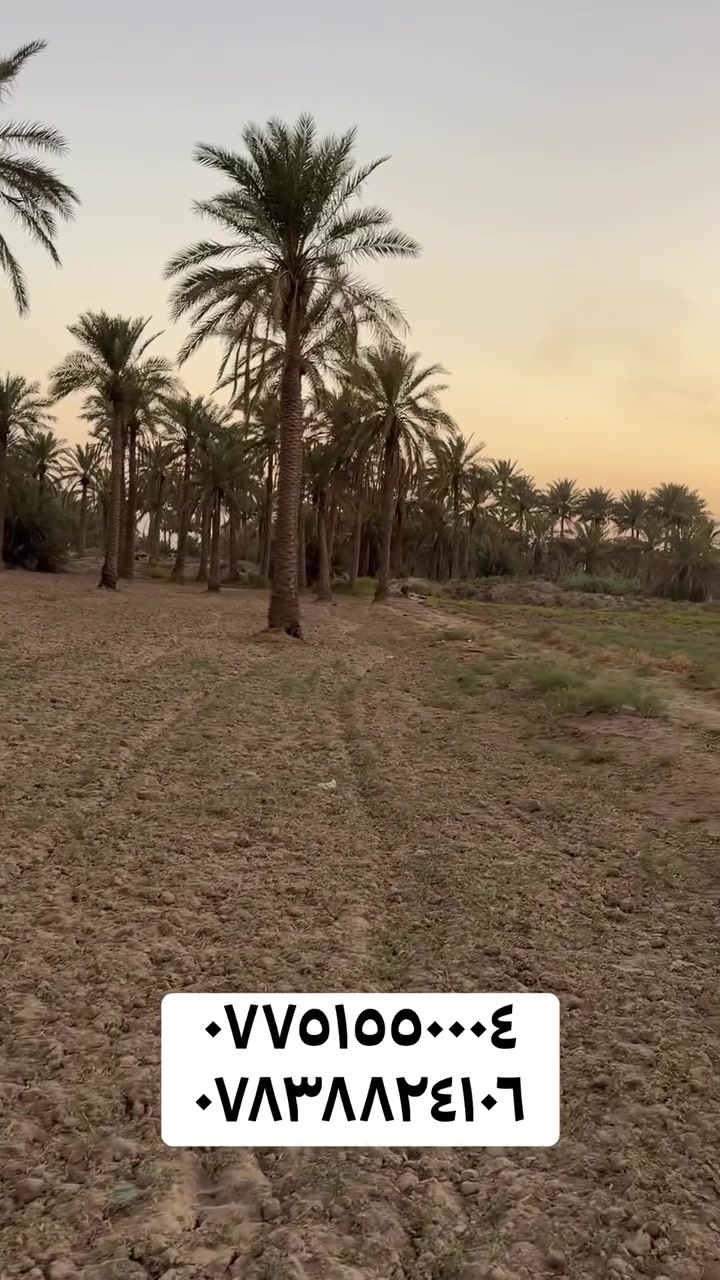 ارض للبيع 

المساحة ١دونم 

صنف العقار :طابو زراعي سند ٢٥ 

📍موقعها : بابل /منطقة ابراهيم الخليل 

الخدمات المتوفره ماء اساله وسقي كهرباء
التبليط مسافه عنها ٢٠٠ متر 

شارع جانبي بعرض ٣ امتار 
⸻

📞 للاستفسار والتواصل:
محمد عباس للتسويق العقاري – M/A
***********
***********
