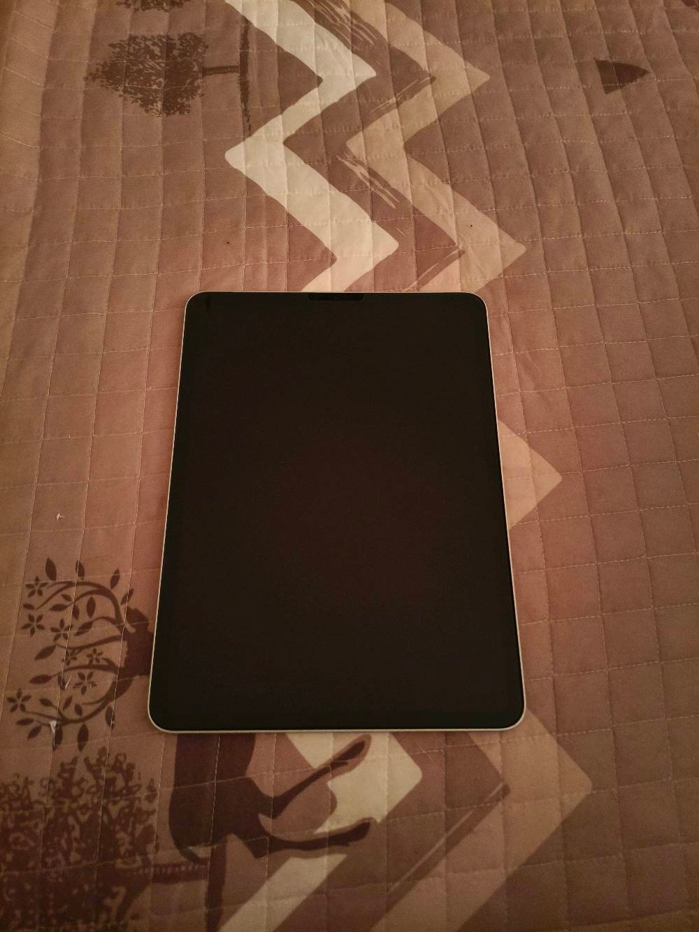 iPad Pro

- ذاكرة 256GB

- صحة البطارية 93%

- يشغل ببجي 120 فريم وباقي الألعاب بدون مشاكل

- نظافة الجهاز 95%

- الجهاز فقط بدون شاحن أو ملحقات

الجهاز استخدام شخصي ونظيف جدا وما بي أي مشاكل 

  حجم الشاشه 11 انج السعر ٦٥٠ الف يجي بس لجهاز بدون ملحقات لا يوجد توصيل للتواصل ***********