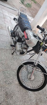 تايكر ١٩ • بدون أوراق • بستم وولفات