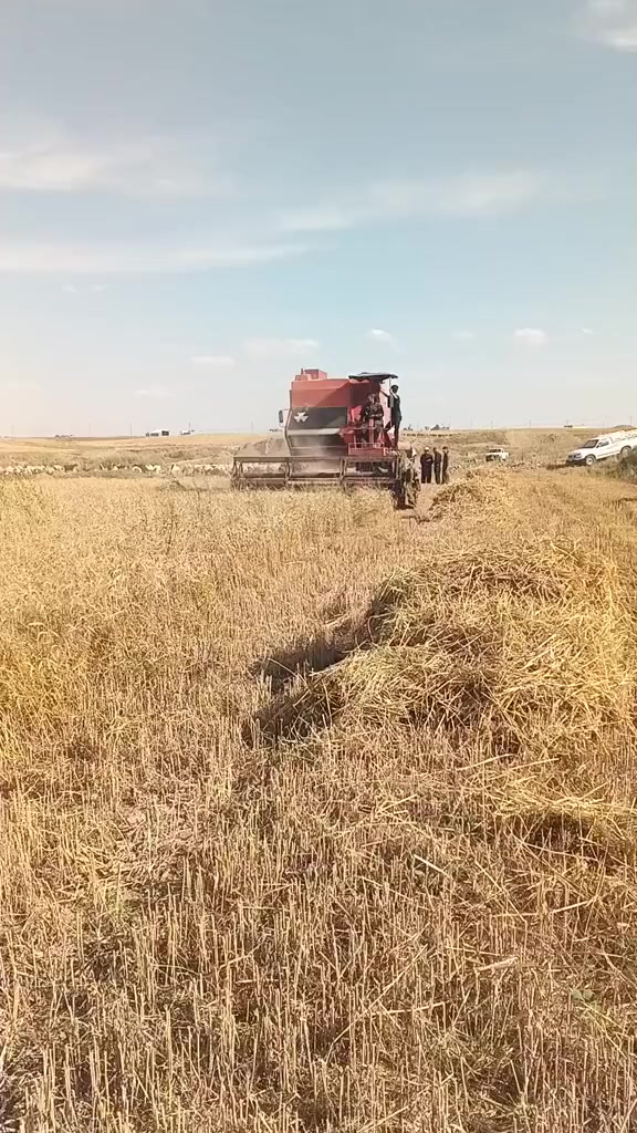 موديل 
1990
 مليون قفل ***********
العنوان اربيل قضأ خبات ناحية كةوركوسك.
