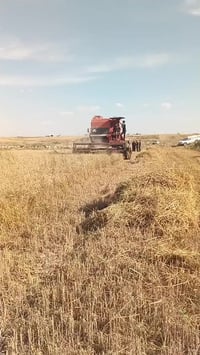 موديل ١٩٩٠ • اربيل • خبات