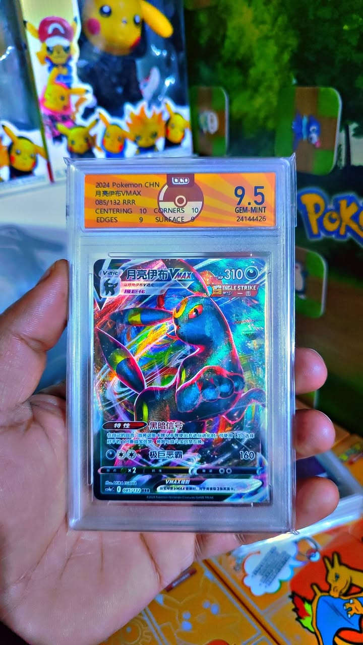 السلام عليكم
اخر 9 قطع خلونه سعر او مراوس


**إذا كنت صاحب هذا الإعلان وتريد حذفه لأي سبب، رجاءا أرسل رسالة إلى الدعم الفني**