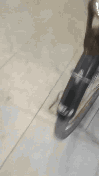 بايسكل • للبيع • واتساب