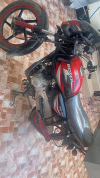 بوكسر كلاسك • ٢٠٢٢ • مرقمه سنويه