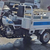 ستوتة 2024 • أوراق گاملة • ديالئ السعدية