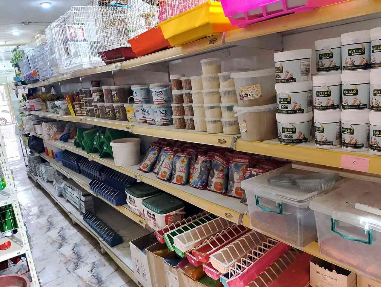 كل ما يحتاجه المربي موجود في عيادتنا العنوان كركوك الواسطي شارع النخيل قرب مشويات  عيادة الحكمة البيطرية


**إذا كنت صاحب هذا الإعلان وتريد حذفه لأي سبب، رجاءا أرسل رسالة إلى الدعم الفني**