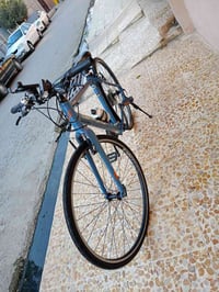 باسكل سنتوريون ألماني • قير شيمانو • حجم ٢٨