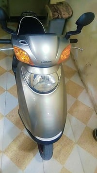 سبيسي ماليزي • معمرة • ناعمة