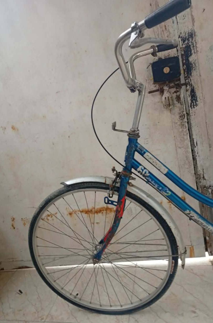 سلام عليكم باسكل لبيع حجم(26)

ما ناقصه شي باسكل وياه هديه سله اماميه
الباسكل سعره (60الف وبي مجال لطيبين)


**إذا كنت صاحب هذا الإعلان وتريد حذفه لأي سبب، رجاءا أرسل رسالة إلى الدعم الفني**