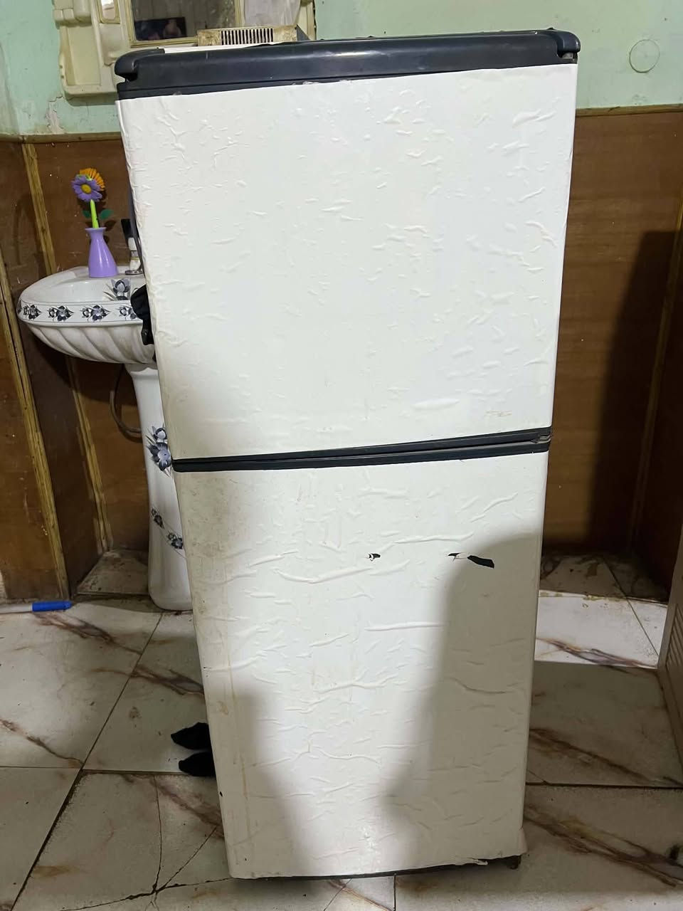 صوبات ع 30+كاونتر 90+ثلاجه شغاله ع فحص 35


**إذا كنت صاحب هذا الإعلان وتريد حذفه لأي سبب، رجاءا أرسل رسالة إلى الدعم الفني**