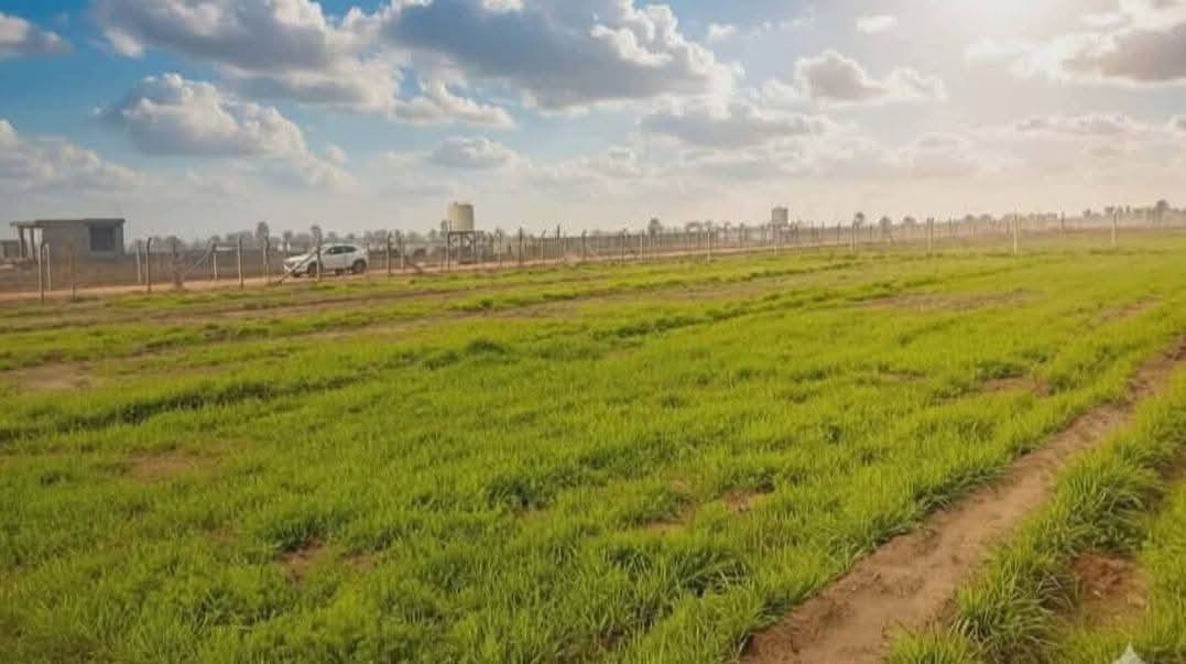 🌳 أرض زراعية للبيع في بابل 🌳
للبيع: أرض  مقسمه وجاهزة المساحة الكلية (5دونم) يتم بيعها حسب طلب المشتري  سند 25 - تحويل مباشر
عرض مميز لأصحاب المزارع والاستثمارات الزراعية،  بنظام مزارع حديث في موقع حيوي.
📍 الموقع:
بابل - بالقرب من مجزرة الخضراء (تقسيم مزارع).
📑 التفاصيل القانونية:
نوع العقار: طابو زراعي.
السند: سند 25.
الإجراءات: تحويل ملكية مباشر باسم المشتري.
🛠️ الخدمات والتجهيزات:
الأرض مخدومة بالكامل وجاهزة للاستخدام:
السياج: محاطة بالكامل بسياج (بي أر سي - BRC).
الري: متوفر ماء سقي واصل للأرض.
الكهرباء: واصلة ومجهزة.
الطرق: طريق "سبيس" عريض بعرض 10 متر يسهل وصول السيارات والمعدات.
العنوان بابل النيل منطقه الصياحه قرب مجزرة دواجن الخضراء
دوانم مقسمه كل دونم وحد

***********
