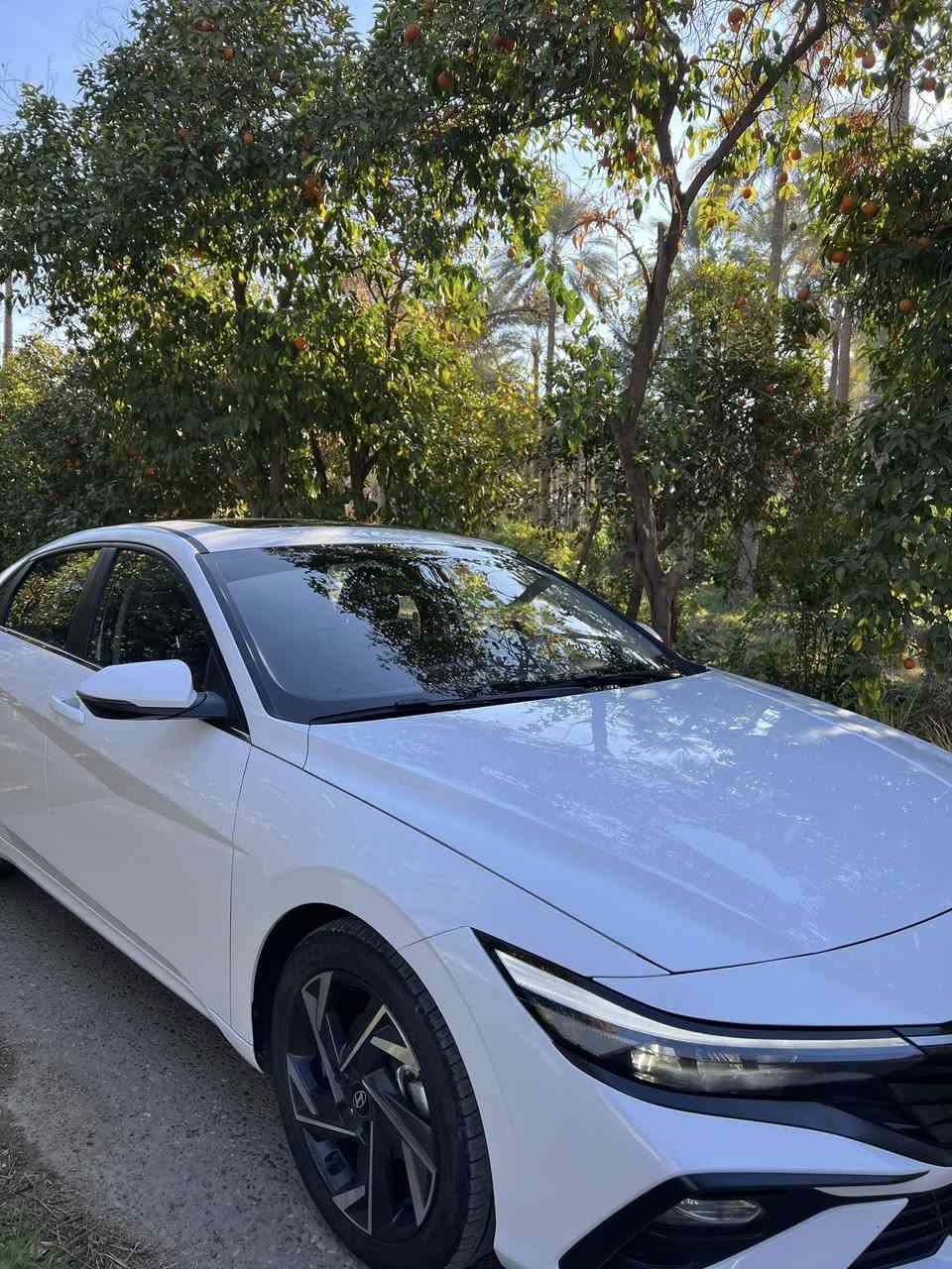 السلام عليكم
هيونداي النترا 2025 ( خـليـجـي ) تجميع صيني

كامل مواصفات سلايد فتحة سقف بصمة            

ماشيه /26الف كيلو 

 👈المواصفات :

مود درايف ( ايكو ٫ كومفرت ٫ سمارت ٫ سبورت )

كير طيارة

بصمة تشغيل بصمة ابواب

شاشة اصلية 

عداد سرعة ديجتل 

مقاعد جلد اسود 

6 ايرباك (الدشبول الدركة التكم المقاعد)

لايت led نهاري

لايت زنون عالي ناصي 3 عدسات

فتحة سقف

 مقود  رياضي حرف D

ويل رياضي حجم 17

تبريد قطعتين

مري كهرباء+ اشاير بالمري +مري شفط

كروس سرعة وفول تحكم ستيرن

حساسات خلفية +كاميرا 

سايد بريك كهربائي

السياره كفاله عامة

السياره رقم اربيل  تحويل وكاله موجود

مكاني بغداد للاستفسار الاتصال على الرقم ***********

زين ***********
