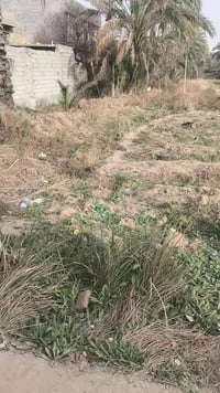 ارض زراعي • شارع البحجازي • ٤٠٠م