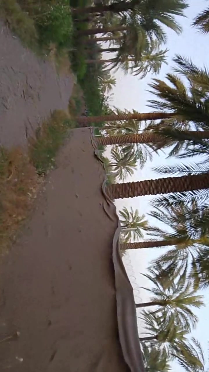 السلام عليكم بستان للبيع 9 ونص دونم طابو زراعي سند 25 ديالى منصوريه الجبل قرب صدور السياحي منطقه سياحيه كلش بستان مخدوم خير من الله تسقى سيح ماطور قطاس مسيجه مخدومه بيها قاعه دواجن مع 2 بيت واحد جاهز والثاني قيد الانشاء أي استفسار ع الرقم اتصل ***********
