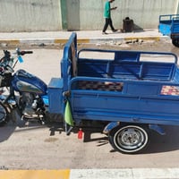 ستوته • ٢٠٢٢ • مكفوله