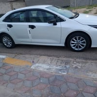 كورلا • ٢٠١٩ • رقم اربيل