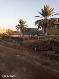 ١٠٠م • سند ٢٥ • حي ناصر