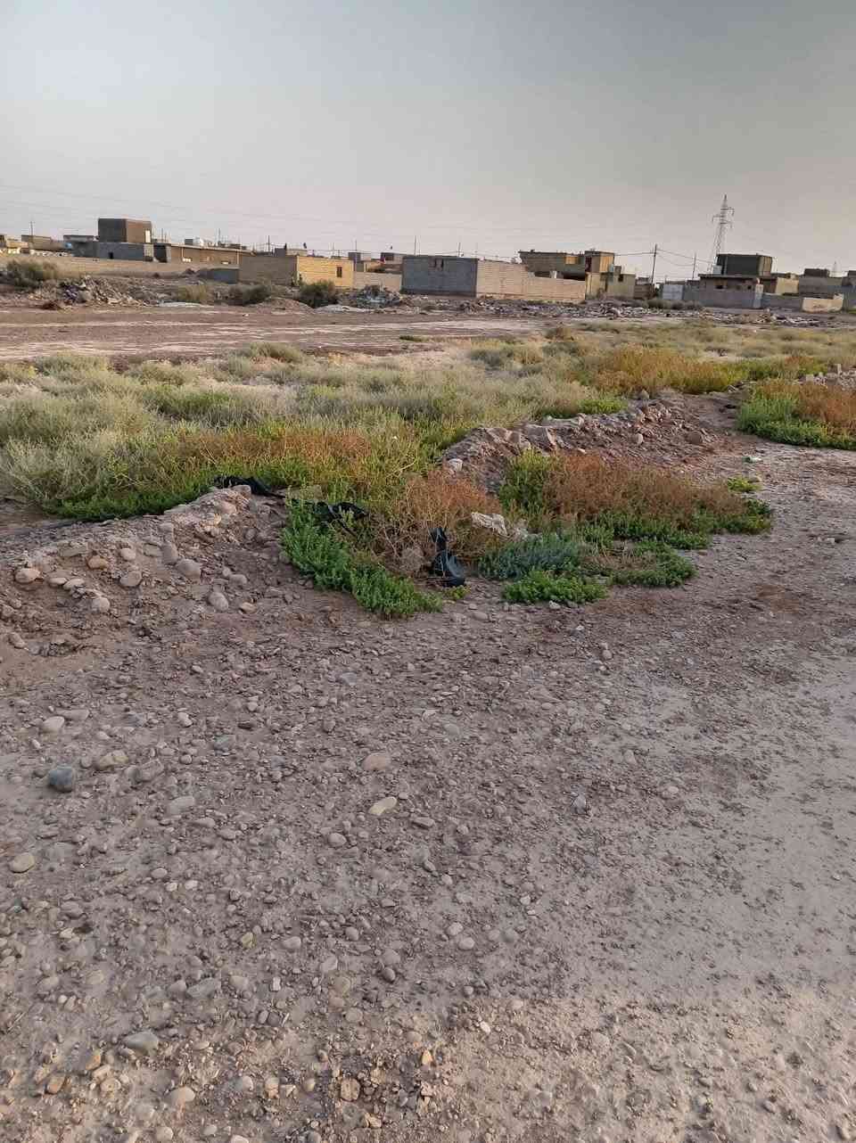 عندي قطعه للبيع  مساحه ٤٠٠ شارع حي الحكيم شارع حسينيه الاحرار وتبعد عني الشارع 400 متر
مرقمه بلديه الاتصال على هذا الرقم  واتساب ***********
