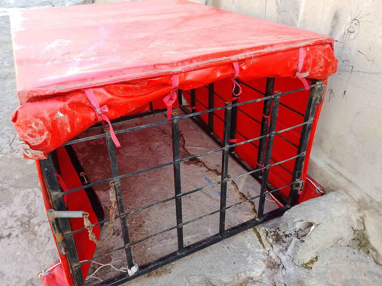 حجه للبيع سعر 100 وبيها مجال***********
