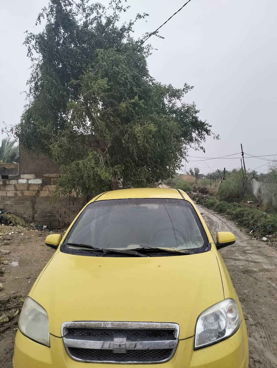 افيو موديل 10 وارد خليجي مداور ثاني يوم كير ومكينه جدد تخم تاير كهربائيات شغاله المكان كوفه السعر 40 وبيه مجال


**إذا كنت صاحب هذا الإعلان وتريد حذفه لأي سبب، رجاءا أرسل رسالة إلى الدعم الفني**