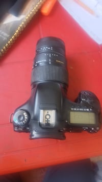كانون EOS 7D • عدسة 70-300 سيجما • النجف الأشرف