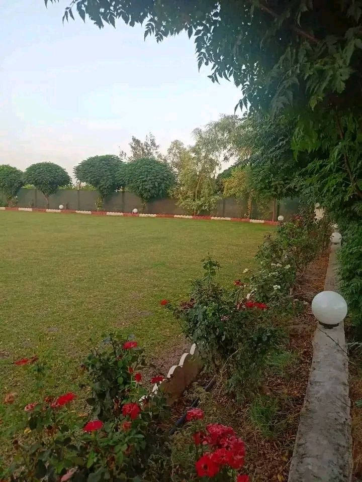 مزرعه للبيع مساحه ٣٣٠٠م زراعي في كركوك طريق اربيل قريه حصار مسافه من شارع بيها بيت ومسبح والاشجار مثمره متنوعه وحديقة حلوه وبئر ماء وكهرباء سعره ٧٠ مليون للمزيد من المعلومات اتصال على رقم مبايل ***********
