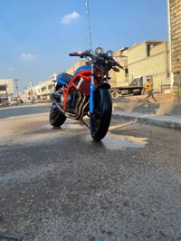 باندا كرستال • شغاله • الرستميه