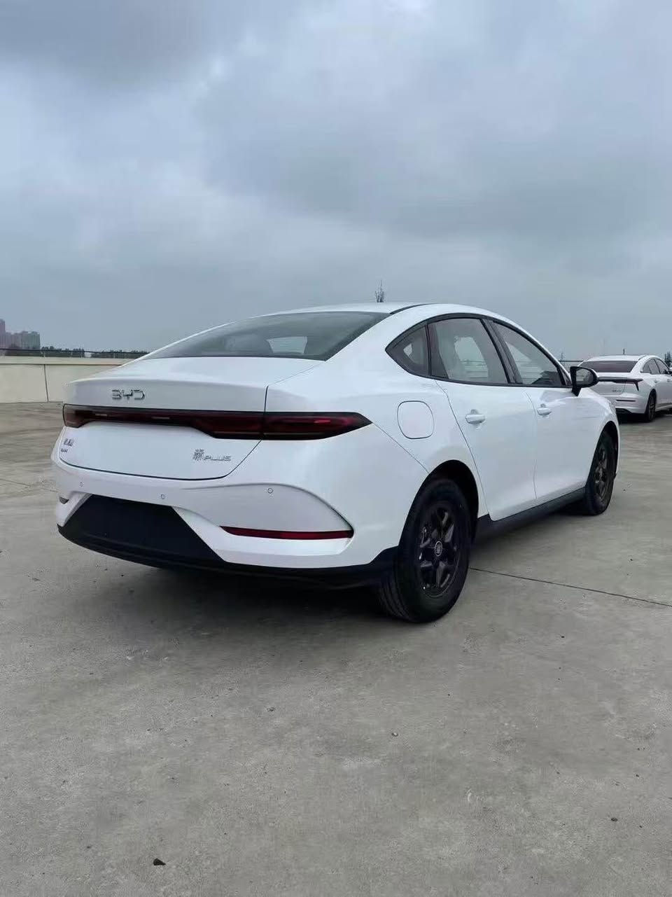 qin plus
تەنها ١١٩ گەلا صافی🔥
کامل ئەشیا  بۆیاخ تەنک
سێ مانگ کاتی
*********** السليمانية, العراق
