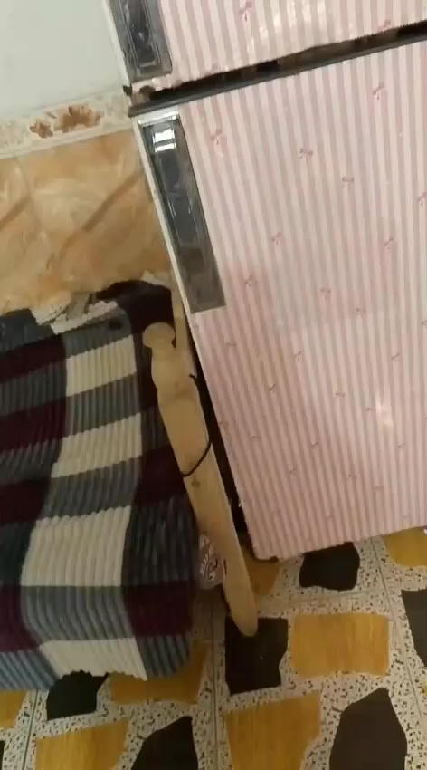 ثلاجه شرط الشغل والتجميد حجم وسط سعرها 75 العنوان الشطرة شارع ام علاء قرب مدرسة اليمن الشراي يتصل بلرقم ***********
