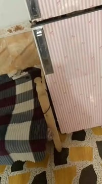 ثلاجة • شغالة وتجميد • الشطرة