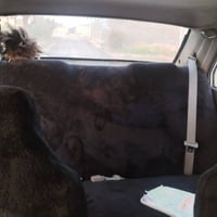 بونتيشا • ١٩٩٤ • سماوه