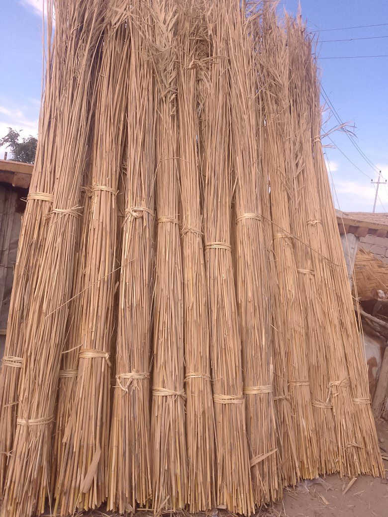 سلام عليكم من رخصت ابو الكروب يتوف بواري وكصب شباب نضيف ***********
