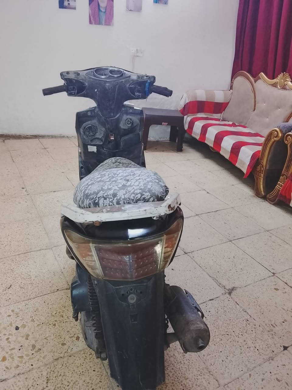 دراجه سگنس فحل 350وبيها مجال بسيط ***********
