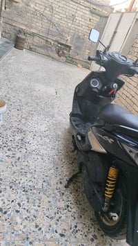 سكنس • فحل • جديد