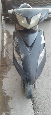 للبيع ثعلب اي نقص مابيه مكاني بغداد الغزاليه لشراي يخابر 07906148049 و...