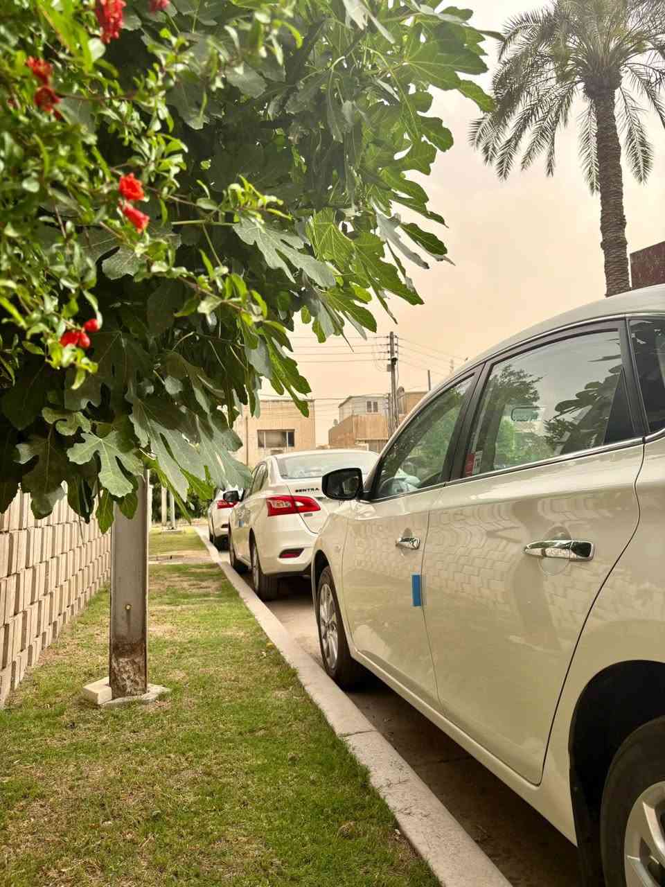 السلام عليكم نيسان سينترا 2025 بلاك ادشن زيرو للبيع رقم بغداد باسمي فول مواصفات
 فتحة قطعتين تبريد تحكم استيرن كامره شاشة كبيرة  داخل بيج محرك 4 سلندر 1600 وباقي مواصفات معروفه 
ضمان ( شركة السور ) 3 سنوات 
السعر  :  137 $ قفل 
بغداد / المنصور
***********

